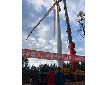 陸地單葉片吊具  國電